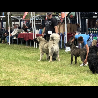 NDS USTKA'18 - BALDUR